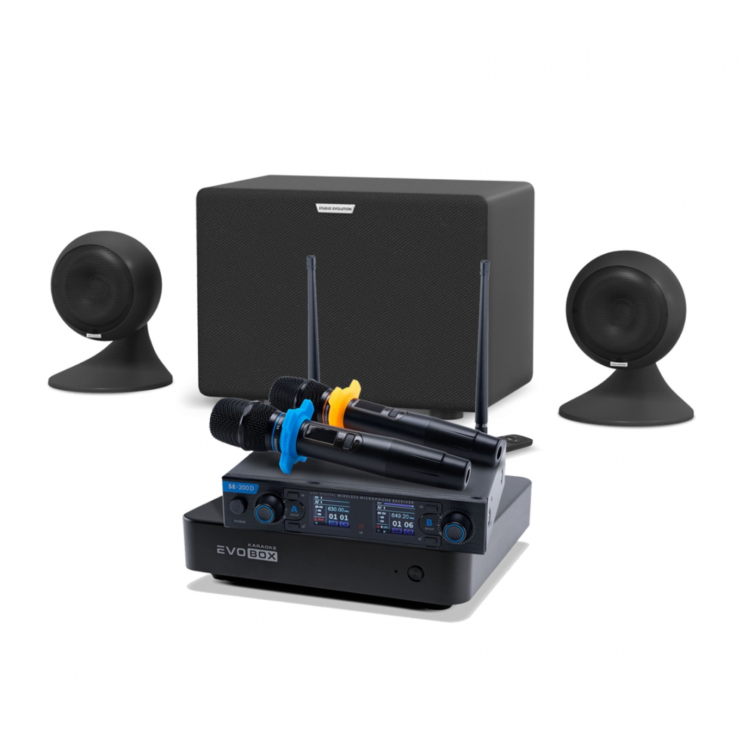караоке-комплект EVOBOX + EvoSound Sphere 2.1 в Асбесте