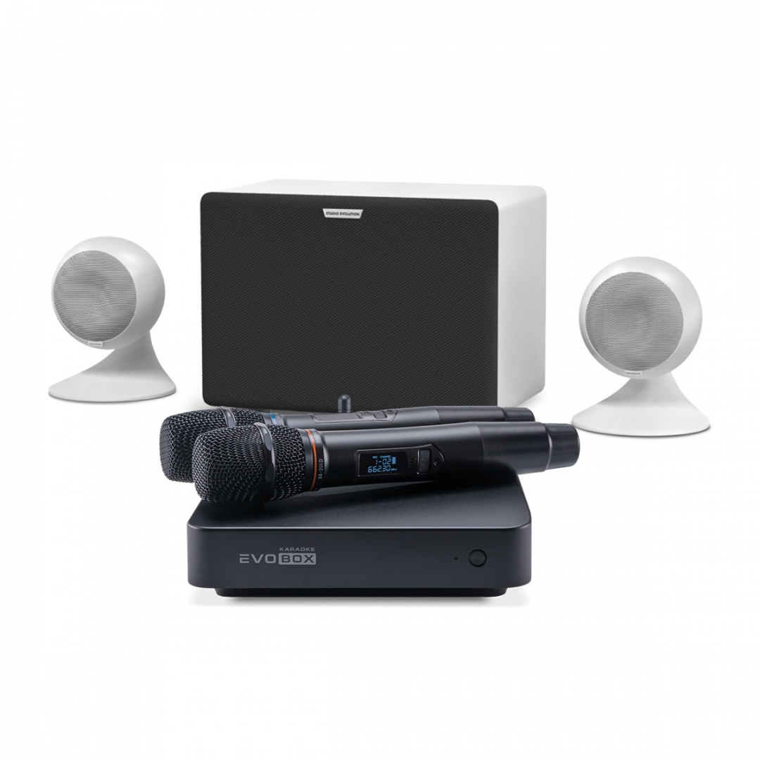 караоке-комплект EVOBOX Classic + EvoSound Sphere 2.1 в Асбесте