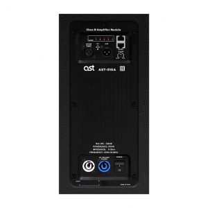 Активная акустическая система AST-310A в Асбесте