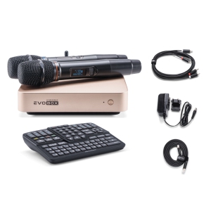 EVOBOX Classic караоке-система для дома в Асбесте