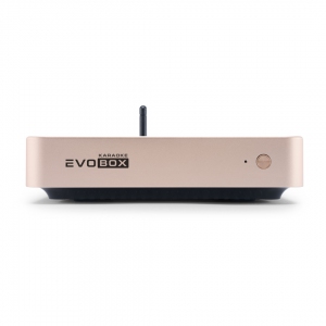 EVOBOX Plus караоке-система для дома в Асбесте