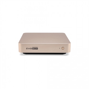 EVOBOX с микрофонами в Асбесте